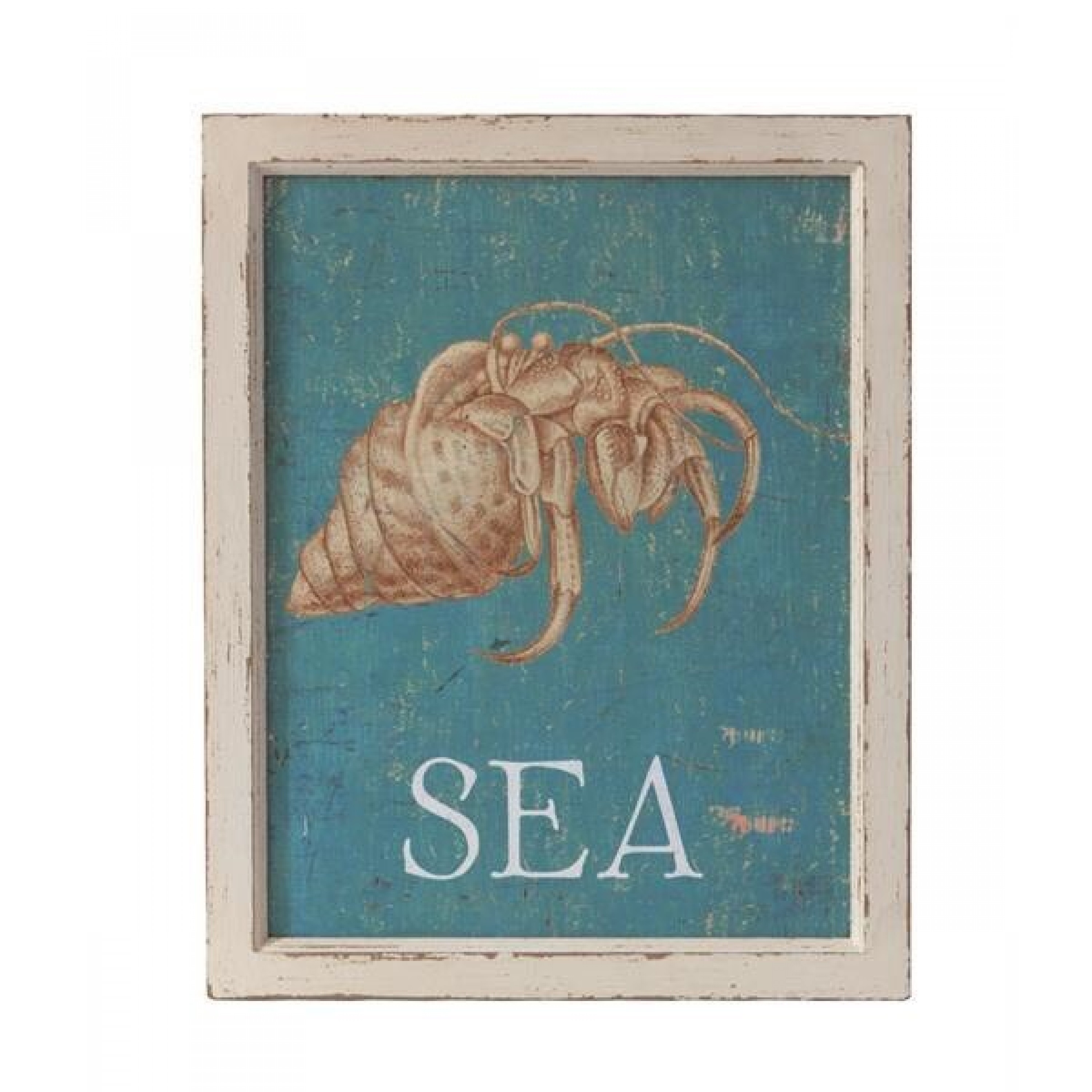 海洋化石風格壁飾